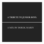 A Tribute To Junior Boys