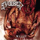 Nullo (The Pleasure Of Self-Mutilation)