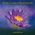 Heart Chakra Meditation, II: Coming Home