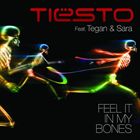 Feel It In My Bones (+ Tiesto)