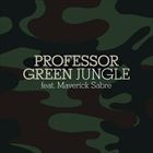 Jungle (+ Professor Green)