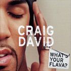Whats Your Flava? (Todd Edwards Remixes)