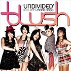 Undivided (+ Blush)