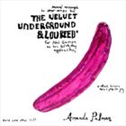 Several Attempts To Cover Songs By The Velvet Underground And Lou Reed