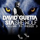 She Wolf (+ David Guetta)