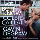 We Both Know (feat. Gavin DeGraw)