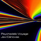 Psychedelic Voyage