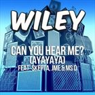 Can You Hear Me? (Ayayaya) (+ Wiley)