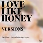 Love Like Honey Versions