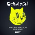 Right Here Right Now (Coyu remix)