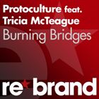 Burning Bridges (+ Tricia McTeague)