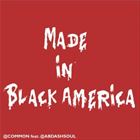 Made In Black America (+ Common)