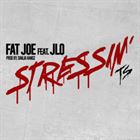Stressin (+ Fat Joe)