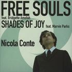Free Souls / Shades Of Joy
