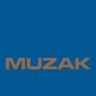 Muzak From The Hive Mind