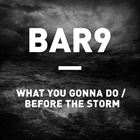 What You Gonna Do / Before The Storm (+ BAR9)
