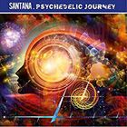 Psychedelic Journey
