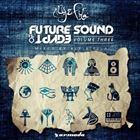 Future Sound Of Egypt Vol. 3