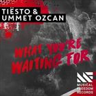 What Youre Waiting For (+ Tiesto)