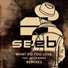 What Do You Love (+ SeeB)