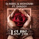 Let Me Love You (+ DJ Rebel)