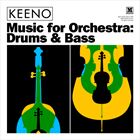 Music For Orchestra: Drums And Bass