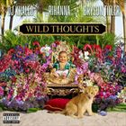 Wild Thoughts (+ DJ Khaled)