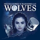 Wolves (+ Selena Gomez)