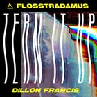 Tern It Up (+ Flosstradamus)