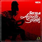 Acoustic Sounds