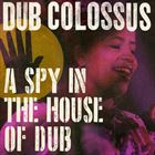 A Spy In The House Of Dub
