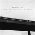 Angelfield: Selected Ambient Works 5