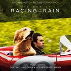 Art Of Racing In The Rain
