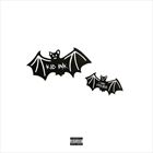Bats Fly