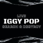 Iggy Pop: Search And Destroy