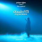 Dawn FM: Experience