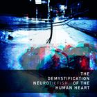 Demystification Of The Human Heart