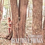 Anthony Green - Beautiful Things (2012)