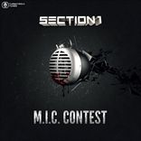 Section 1 - M.I.C Contest (2013)