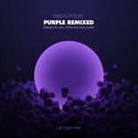 Vibrasphere - Purple (2013)
