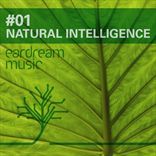 Natural Intelligence (2010)